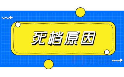 大连档案死档激活流程是怎样的？