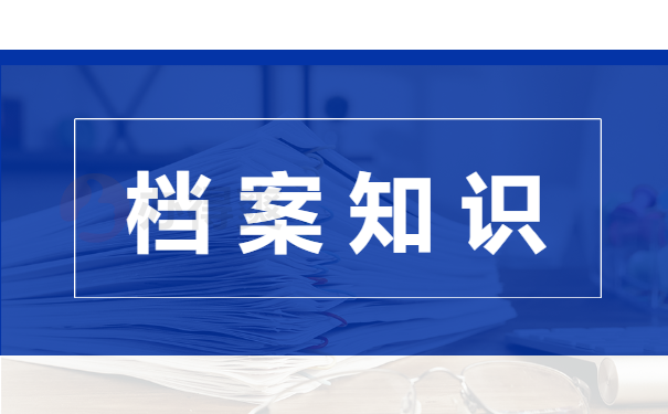 档案查询