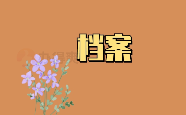 档案