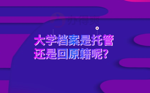 大学档案是托管还是回原籍呢？