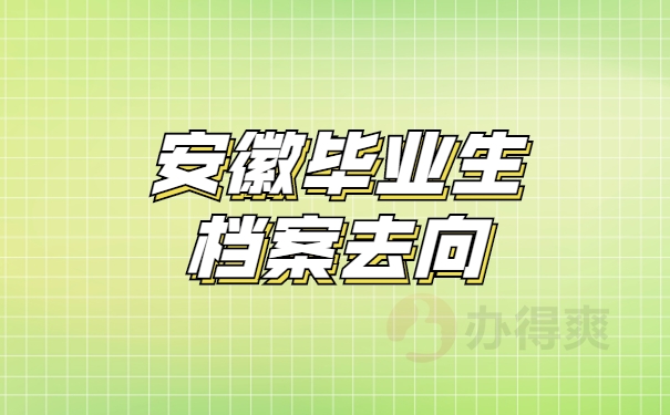 安徽毕业生档案去向