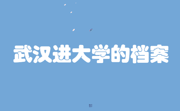 武汉进大学的档案