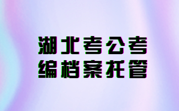 湖北考公考编档案托管