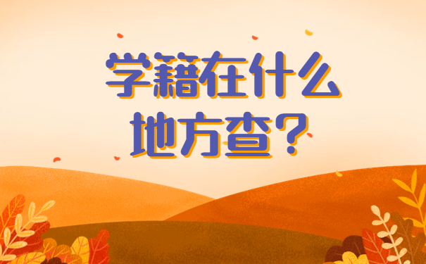 学籍在什么地方查？