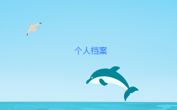 个人档案