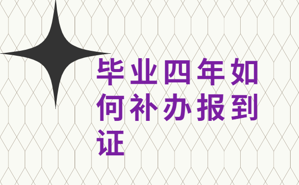 毕业四年了如何补办报到证