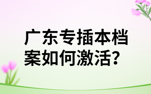 广东专插本档案如何激活？