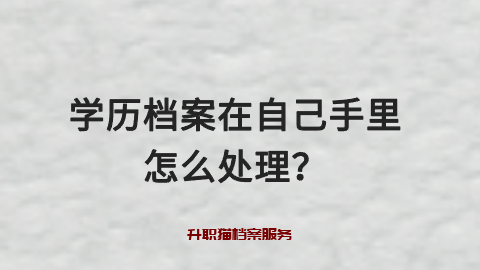 学历档案在自己手里怎么处理？